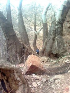 روستای اسفیدان