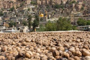 روستای اسفیدان